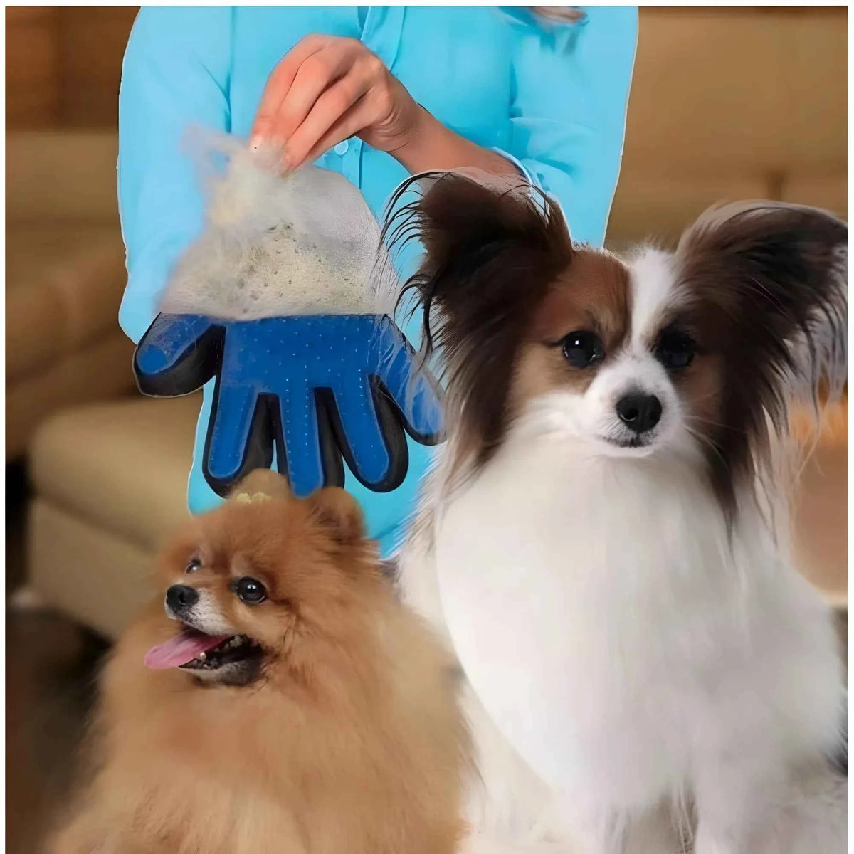Veya Pack of -Finger Deshedding Glove – Pet Hair Remover And Grooming Gloves