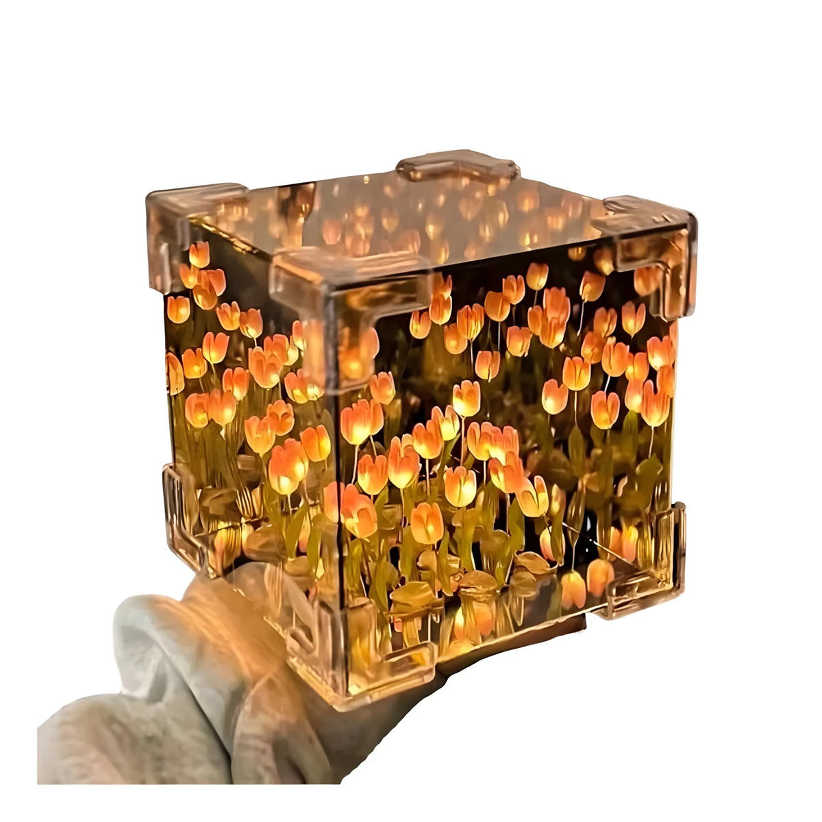Cube Tulip Lamp (Multicolor)