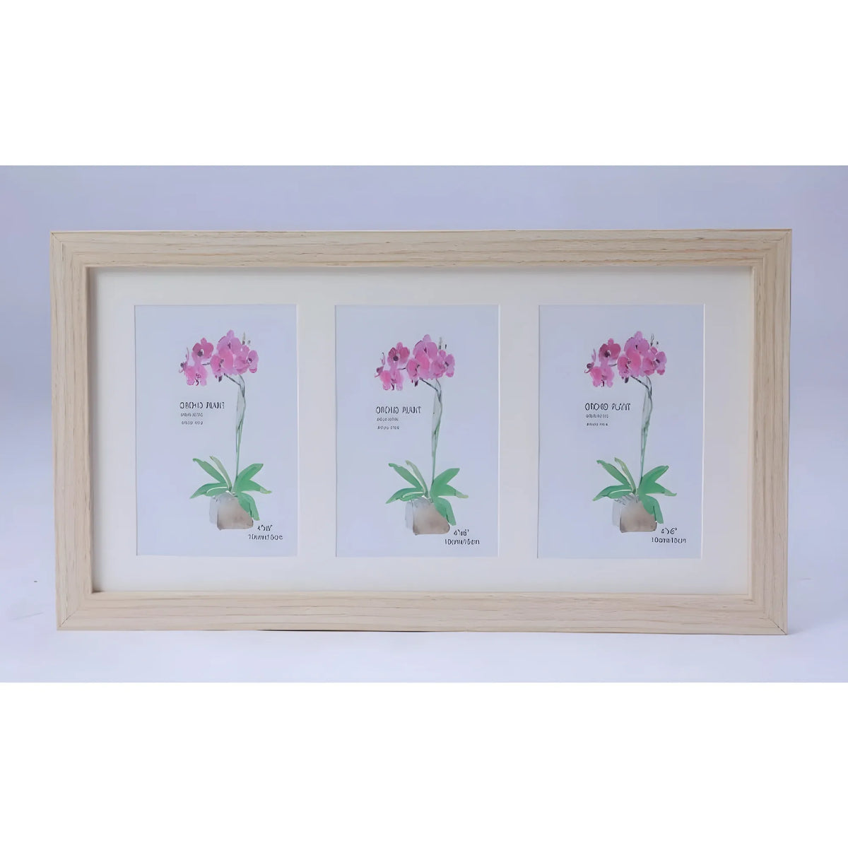 Acrylic Cactus Image Frame (Multicolor)